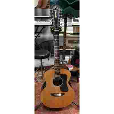 Guild F-112 USA Fishman Rare Earth Mic Blend