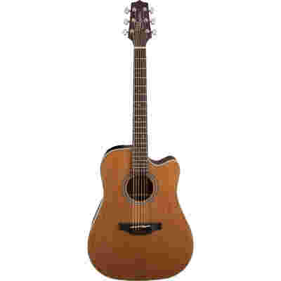 Takamine GD20 CE