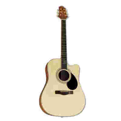 Samick GD-100SC NS - gitara akustyczna