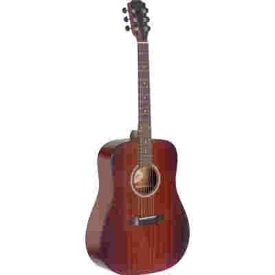 James Neligan DEV-D BBST - gitara akustyczna